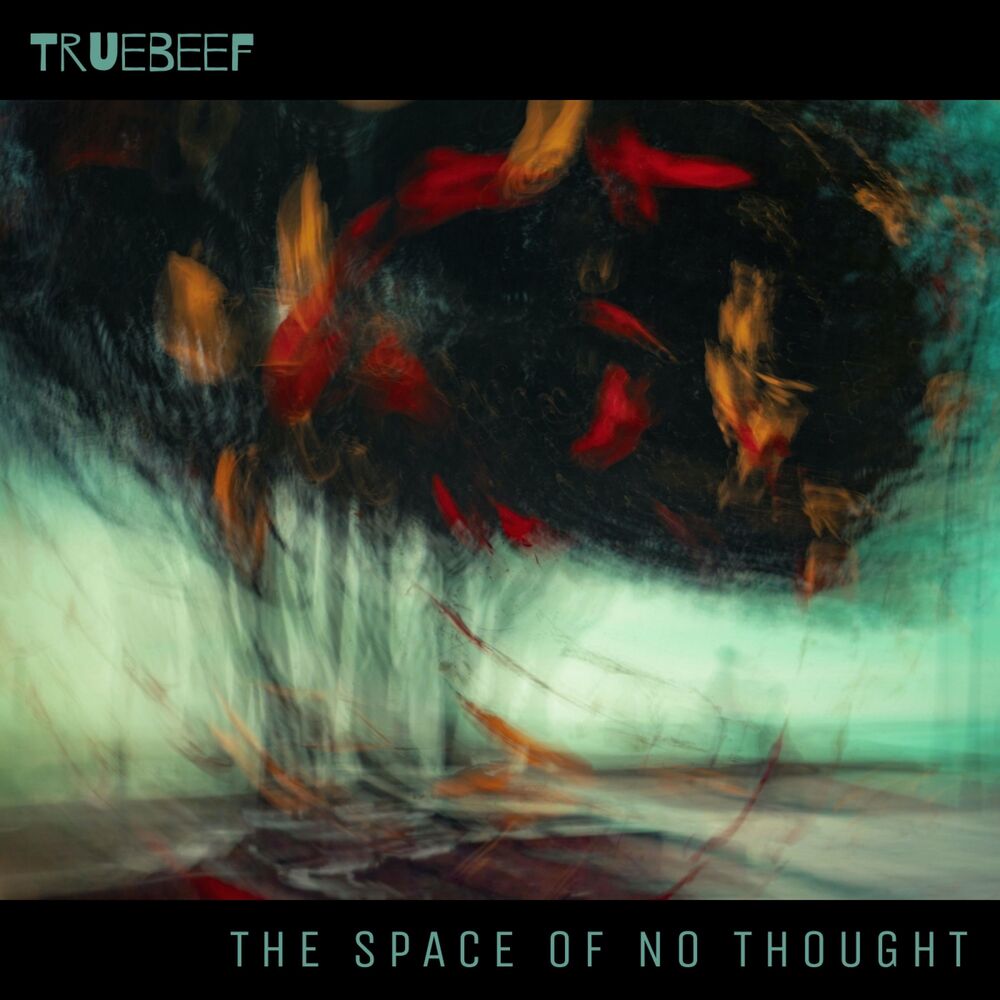 Picture of The Space Of No Thought