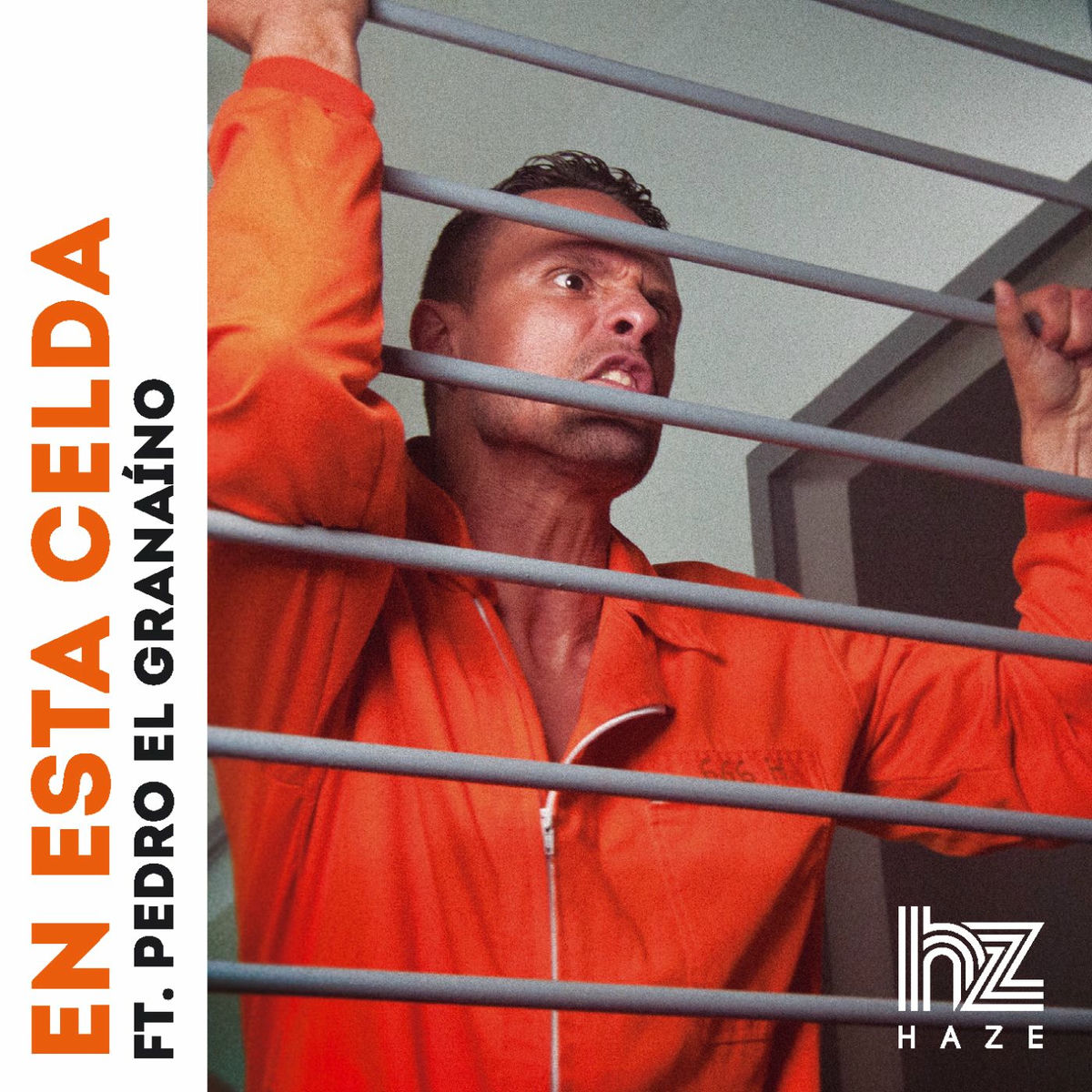 Album cover of En esta celda (feat. Pedro el Granaíno)