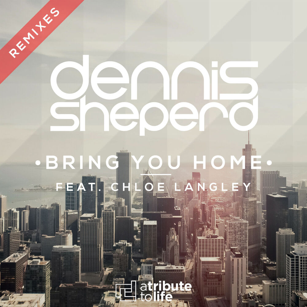 Picture of Bring You Home (Remixes)