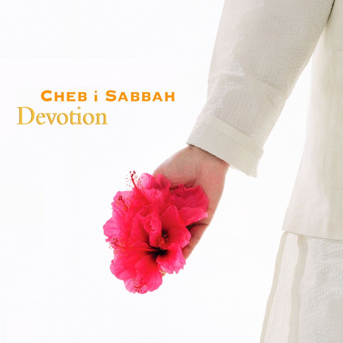Album picture of Devotion