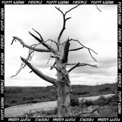 Cover of Patience