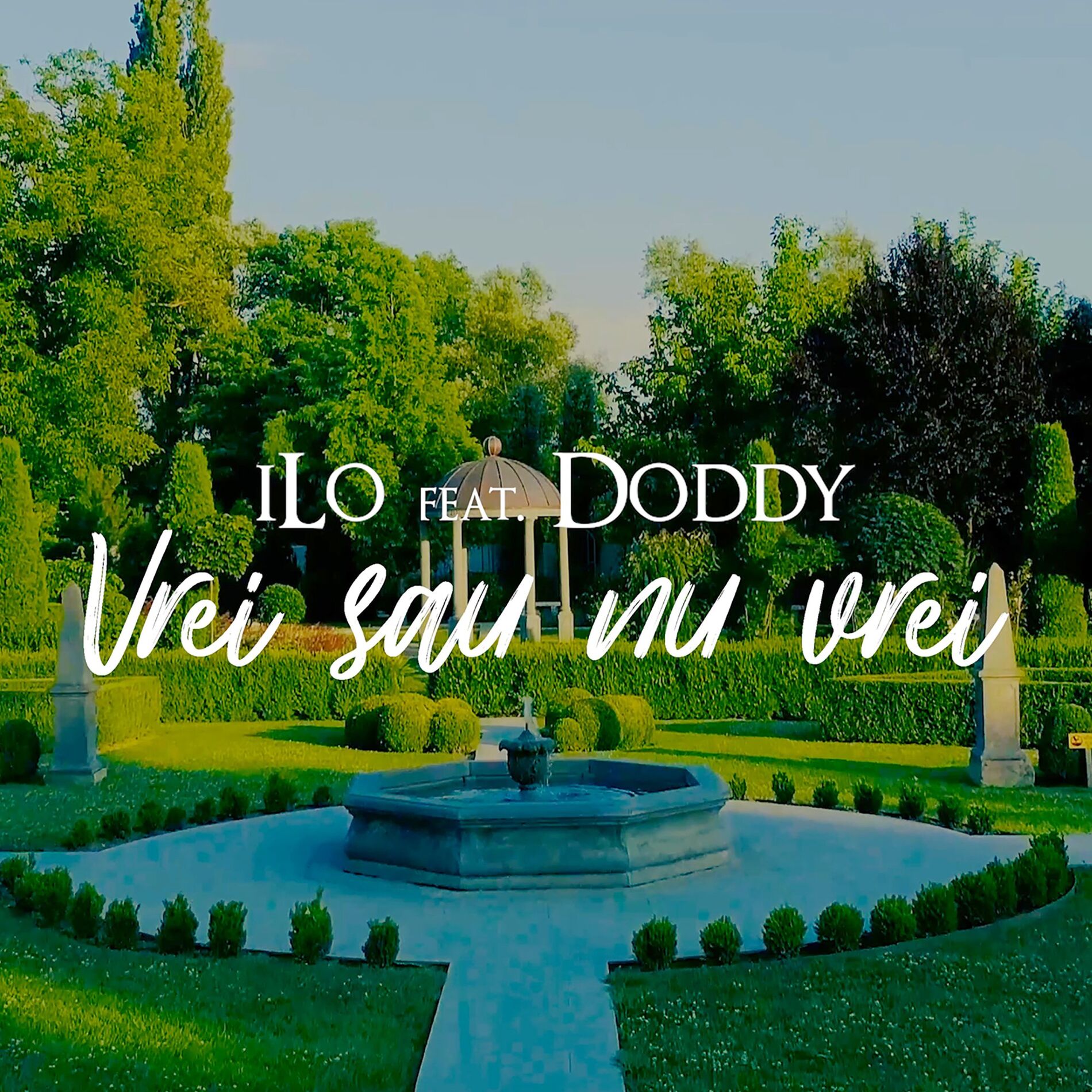 Album cover of Vrei Sau Nu Vrei