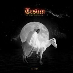 Cover of Teslim: The Energy Still Lives in Me