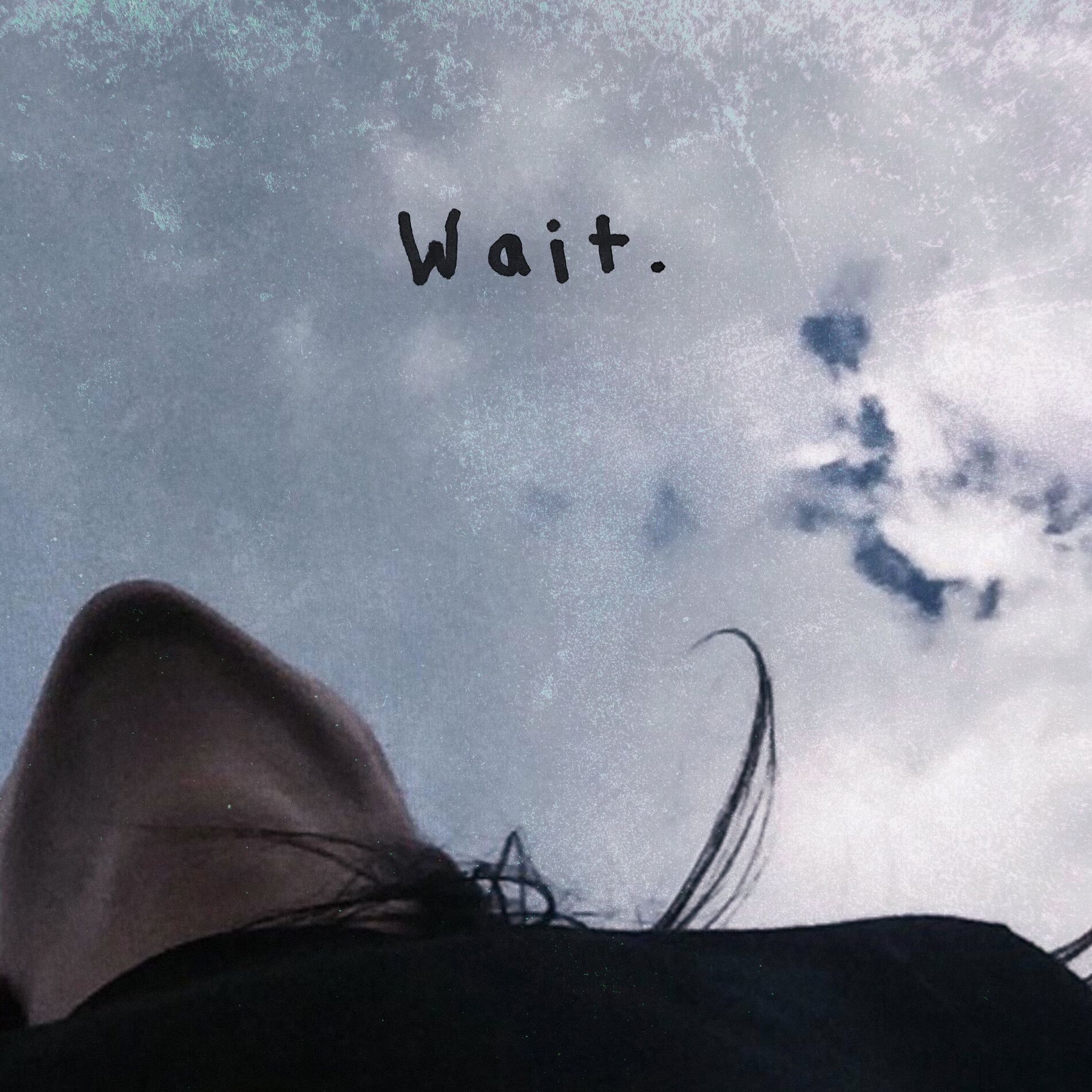 Album cover of WAIT.