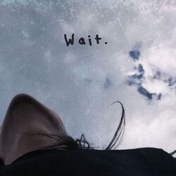 Cover of WAIT.