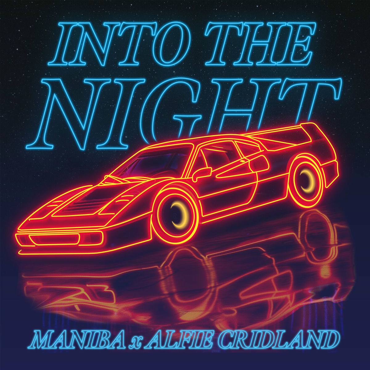 Album cover of Into The Night