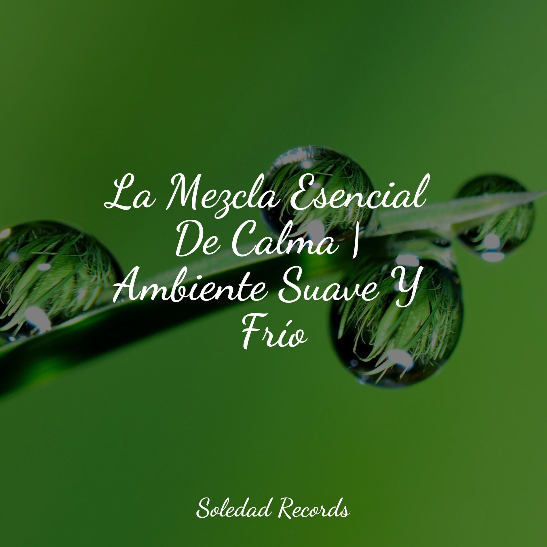 Album cover of La Mezcla Esencial De Calma | Ambiente Suave Y Frío