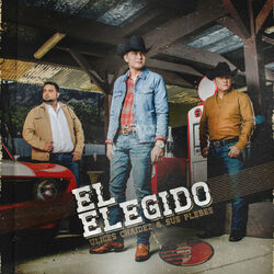 Cover of El Elegido