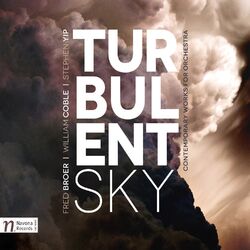 Cover of Turbulent Sky