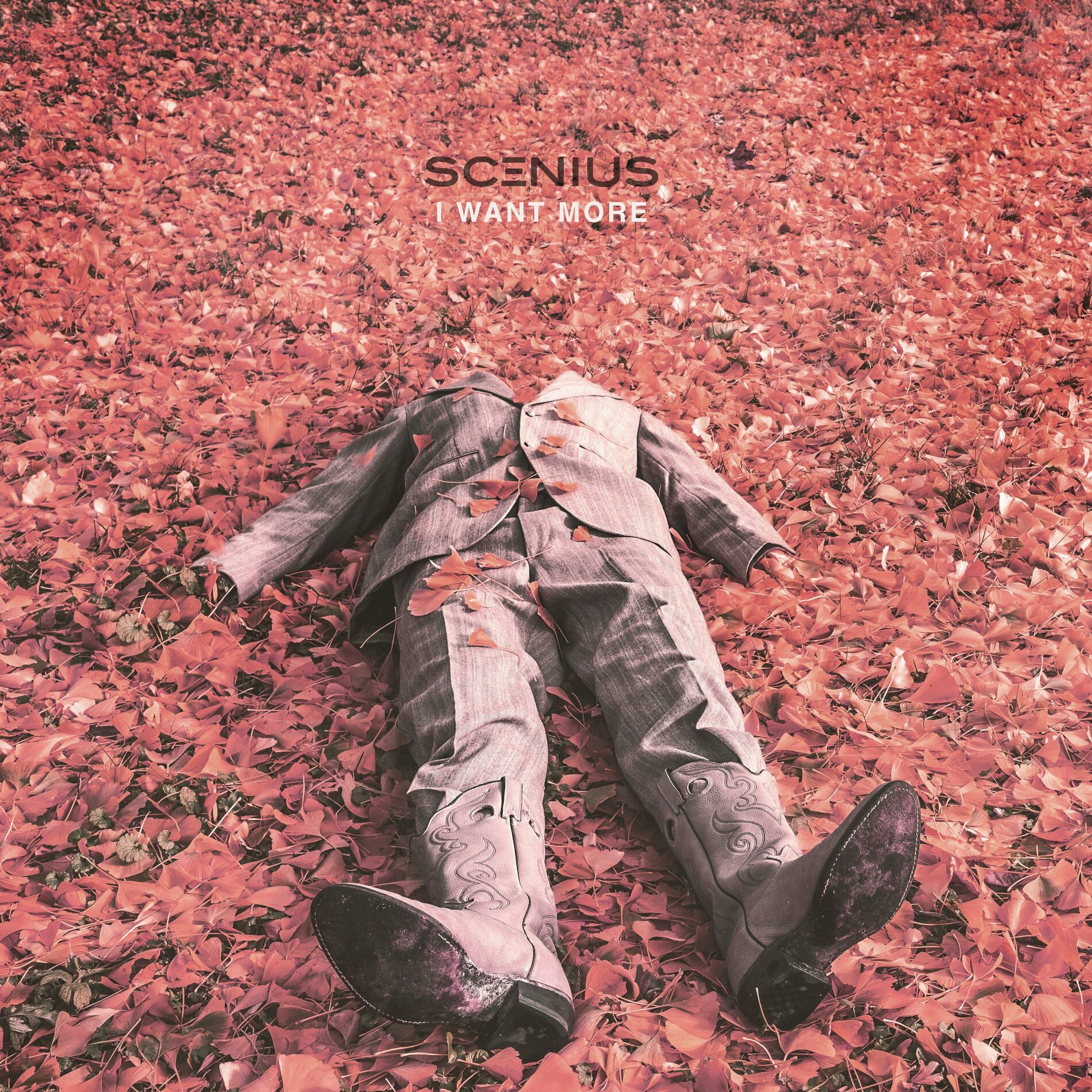 Album cover of I Want More