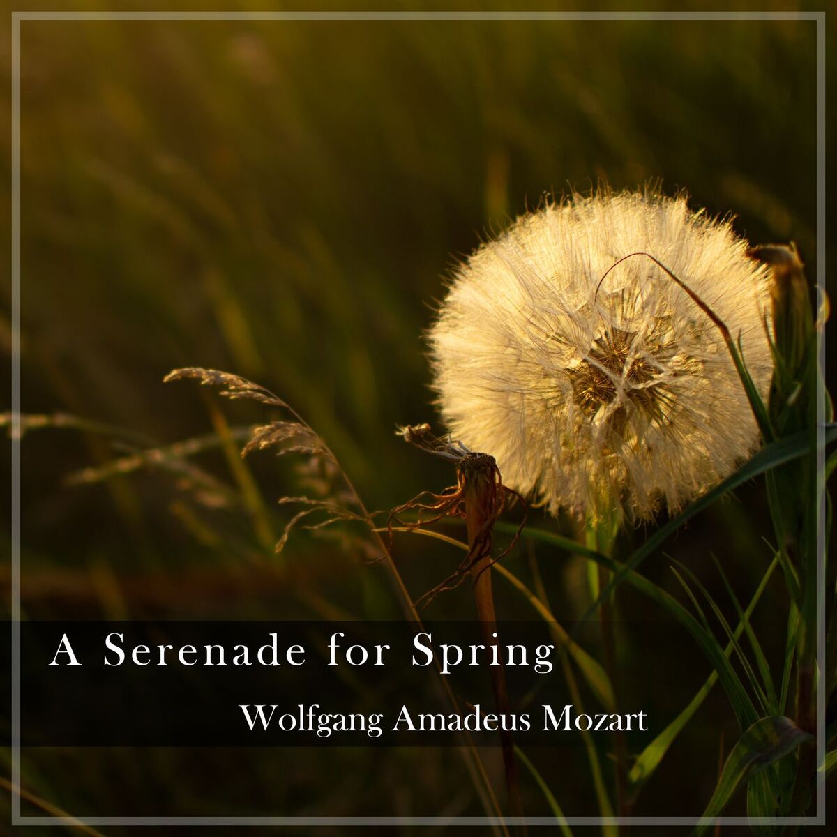 Album cover of 