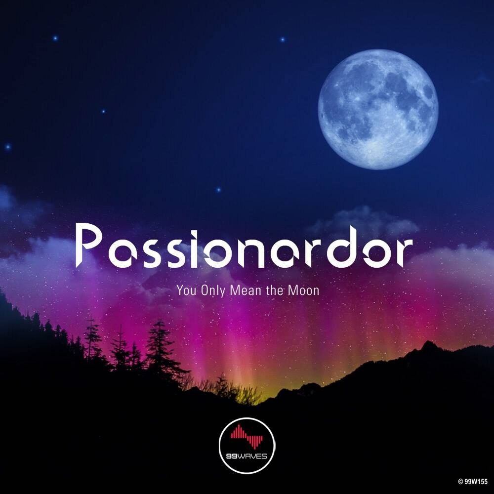 Picture of You Only Mean The Moon