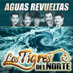 Cover of Aguas Revueltas