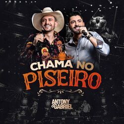 Cover of Chama no Piseiro (Ao Vivo)
