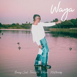 Cover of Waya