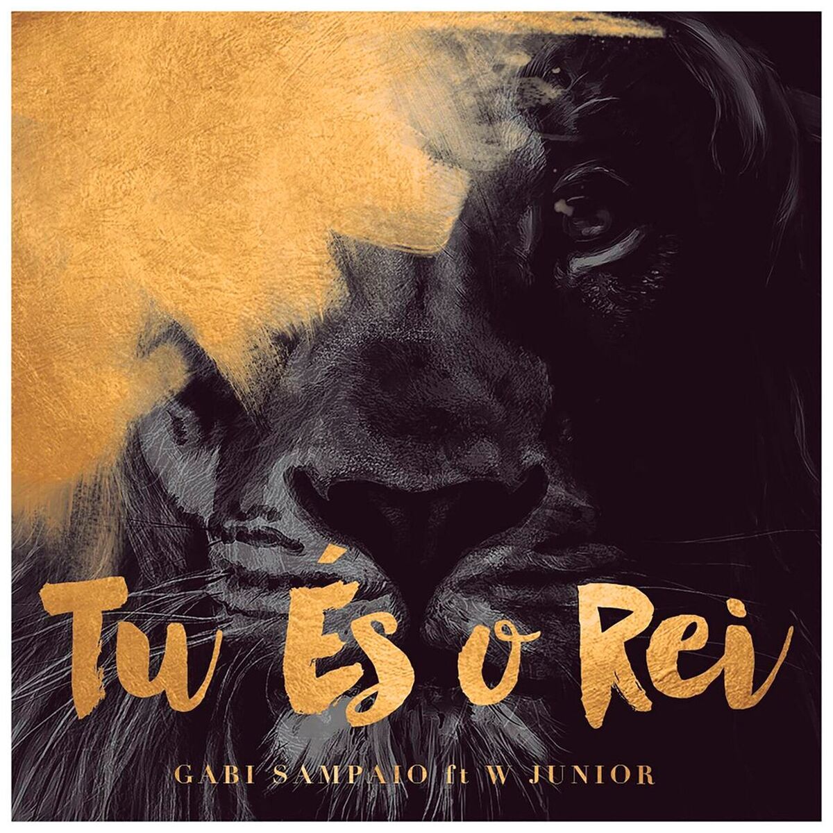 Album cover of Tu És o Rei (feat. W Junior)