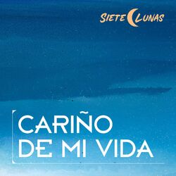 Cover of Cariño de Mi Vida