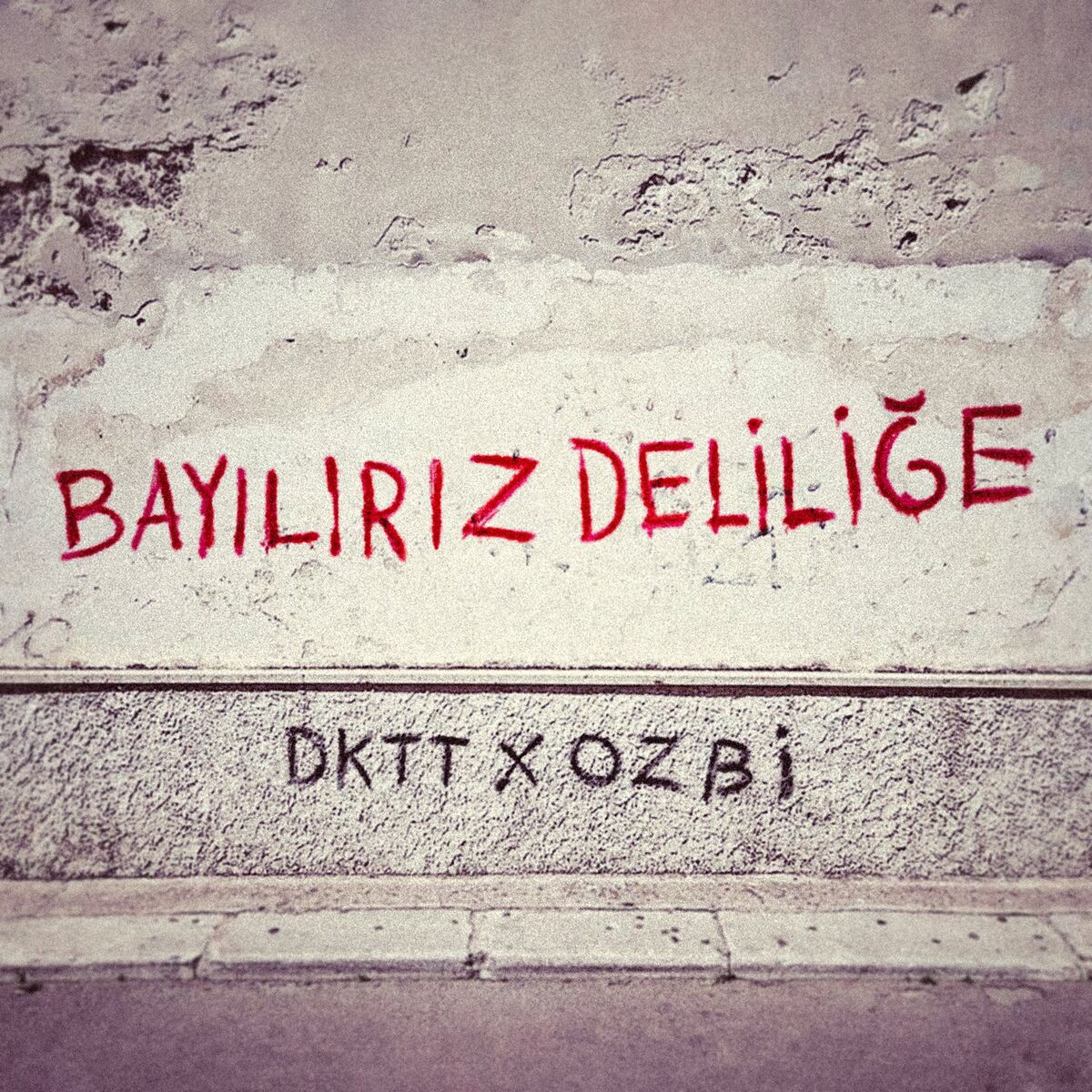 Album cover of Bayılırız Deliliğe