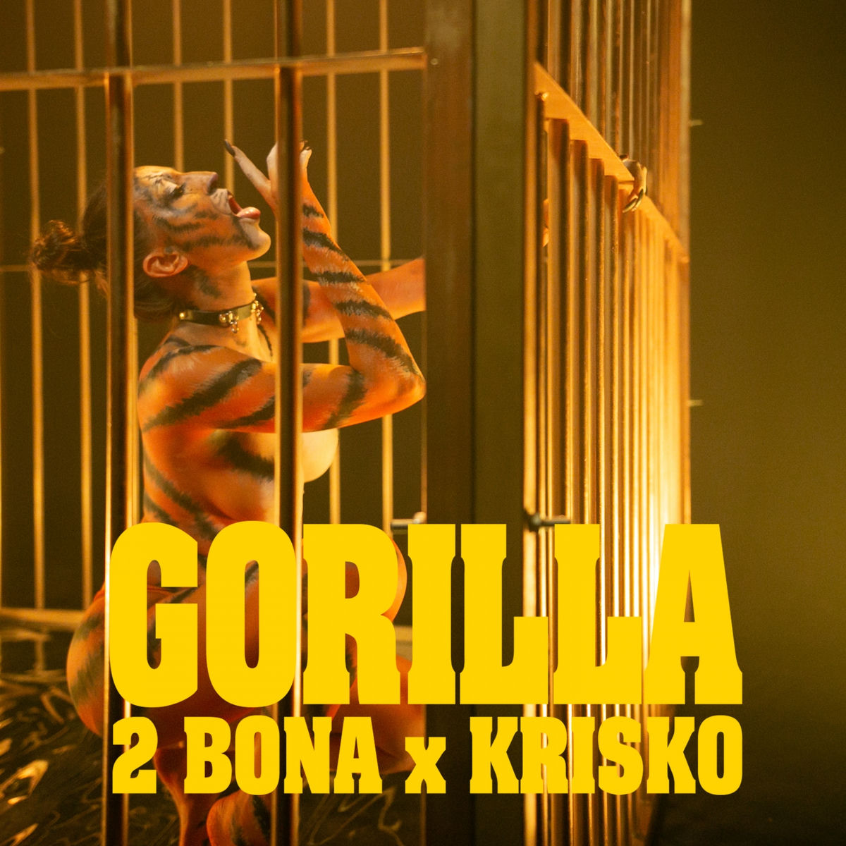 Album cover of Gorilla