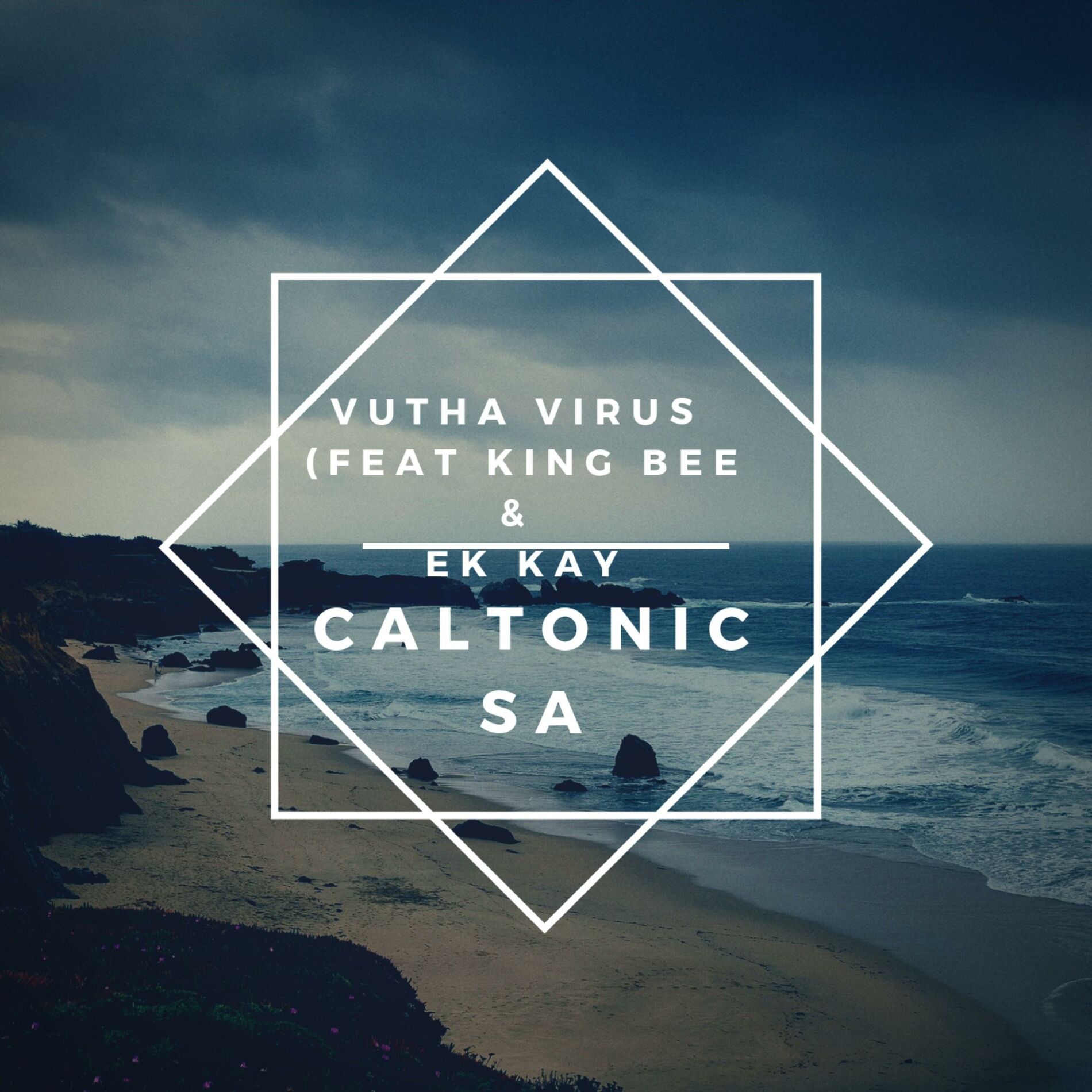 Album cover of Vutha Virus (feat. King Bee & Ek Kay)