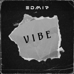 Cover of Vibe