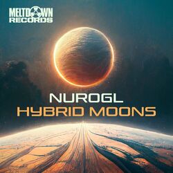 Cover of Hybrid Moons