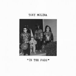 Cover of In the Fade