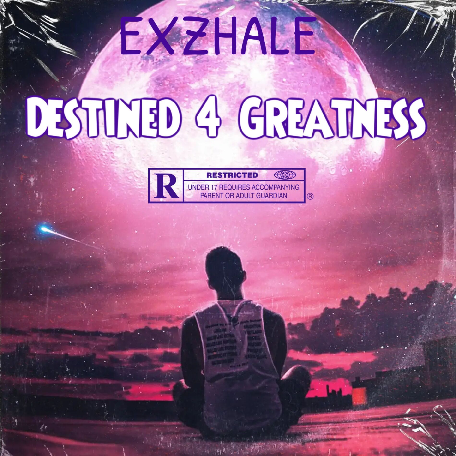 Album cover of Destined 4 Greatness