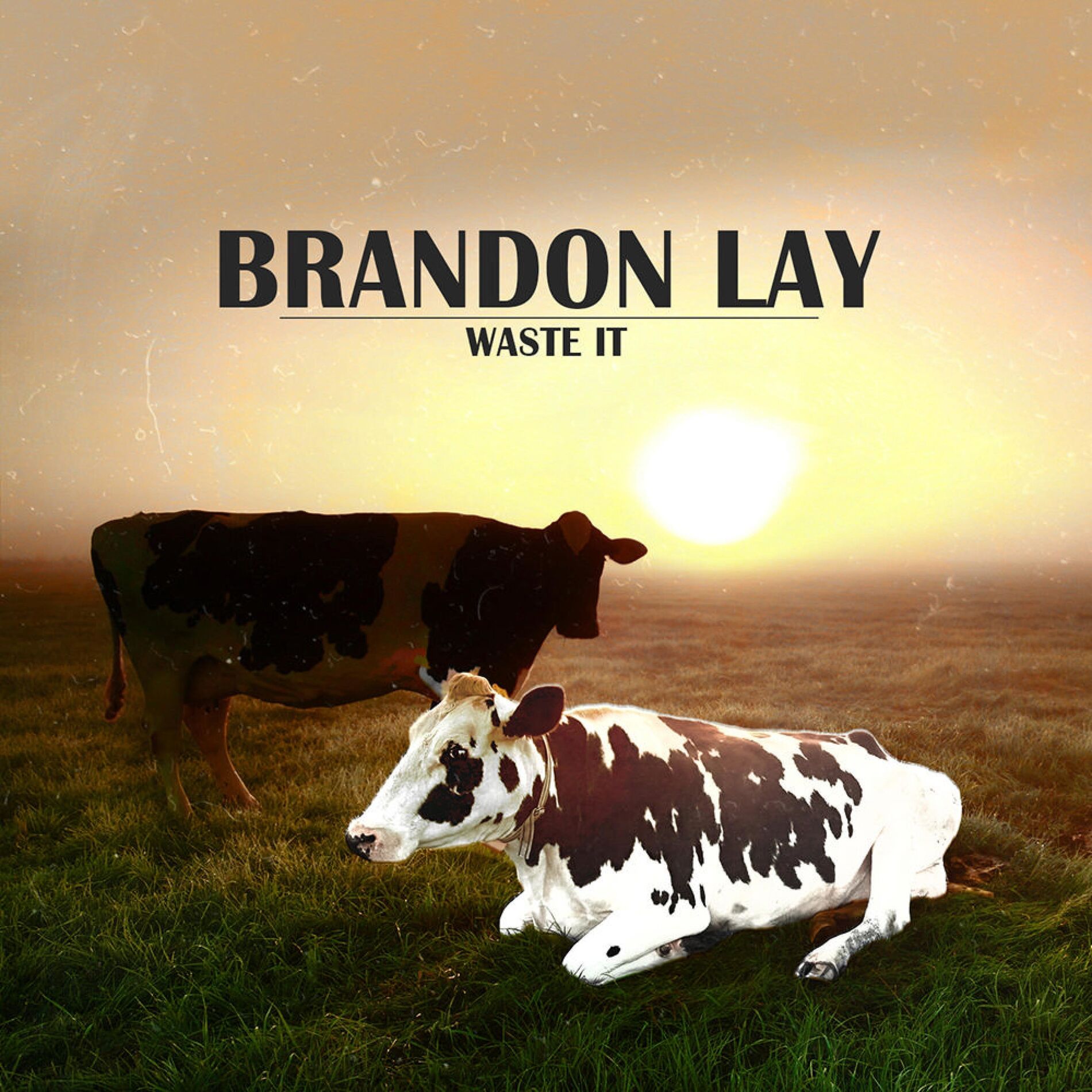 Album cover of Waste It