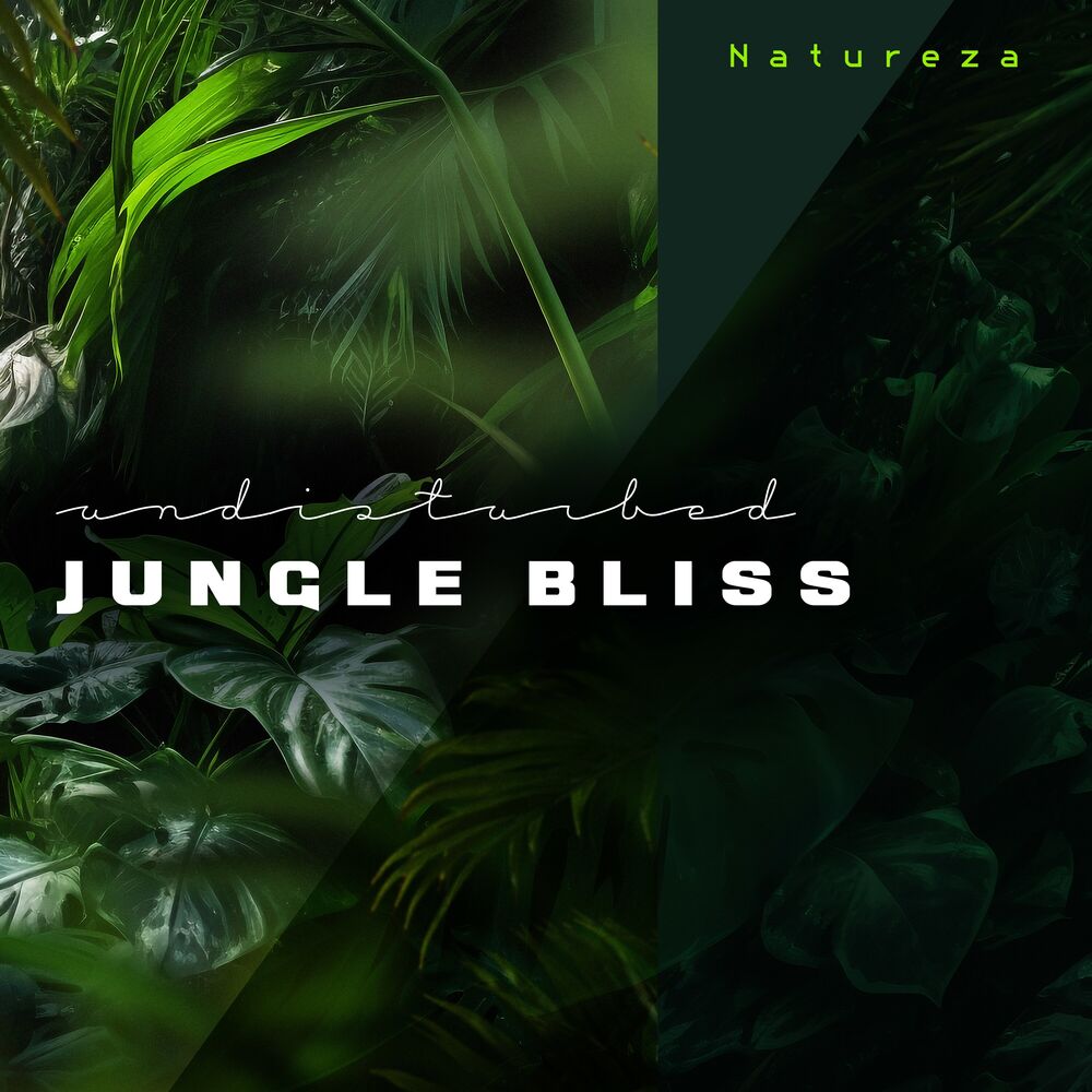 Picture of Undisturbed Jungle Bliss