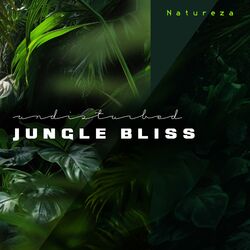 Cover of Undisturbed Jungle Bliss