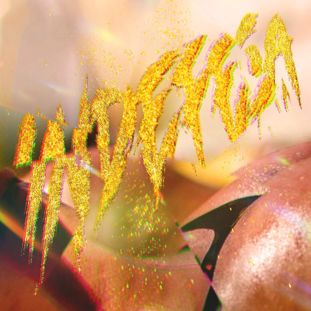 Album cover of Indefesa