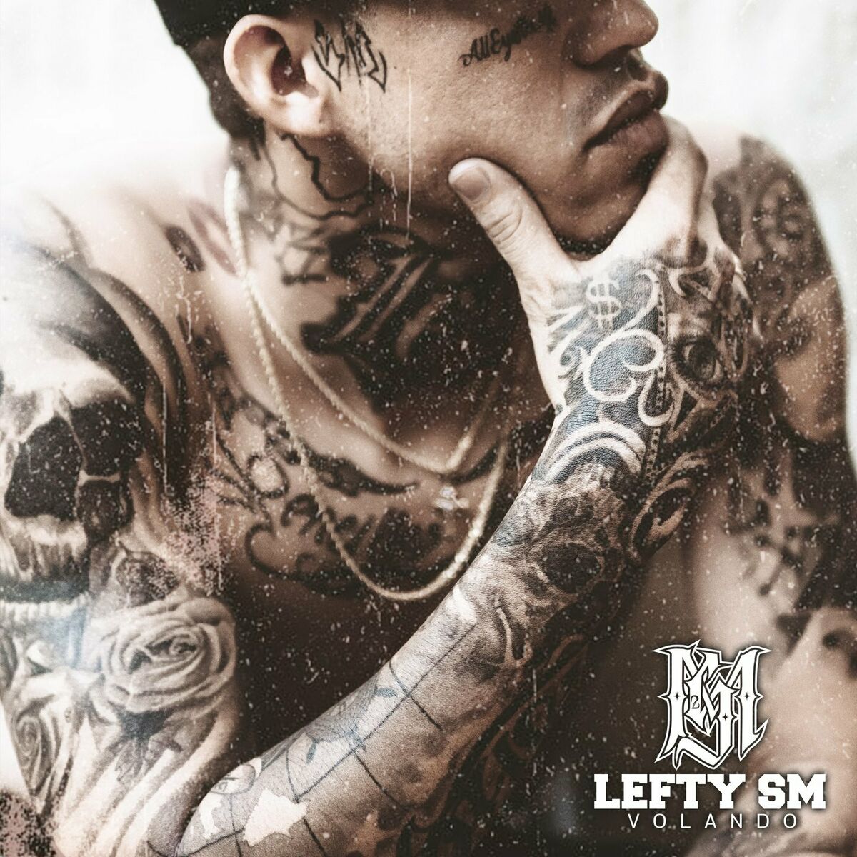 Album cover of Volando