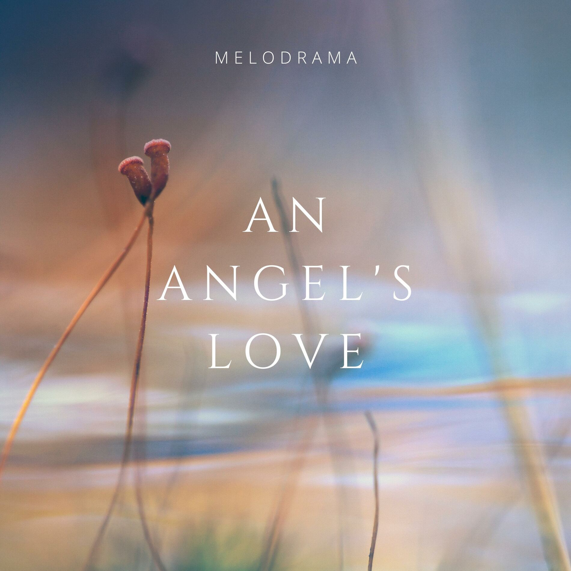 Album cover of An Angel's Love