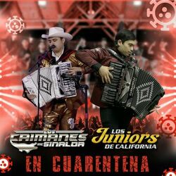 Cover of En Cuarentena