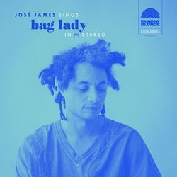 Cover of Bag Lady