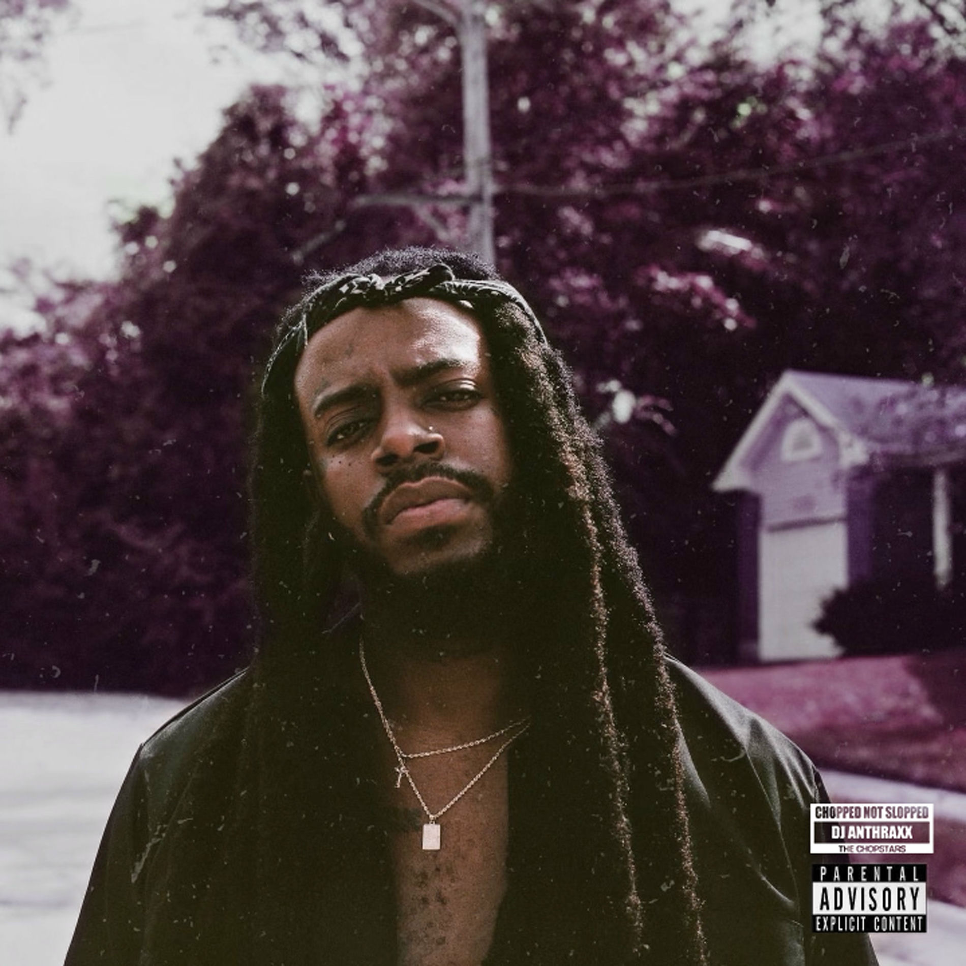 Album cover of Can Anything Good Come out of Wellston (Chopnotslop Remix)
