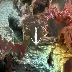 Cover of Echoes From Beyond