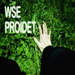 WSE PROIDET