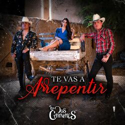 Cover of Te Vas a Arrepentir