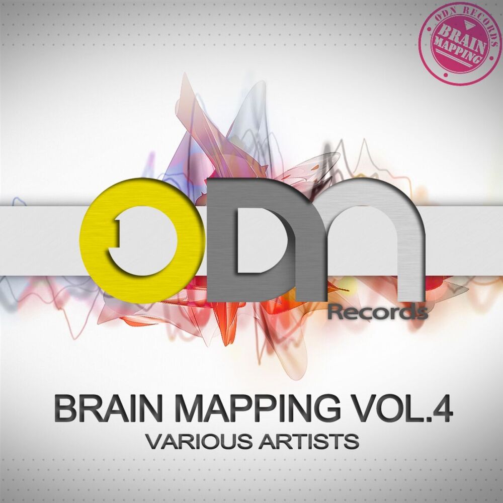 Picture of Brain Mapping Vol.4