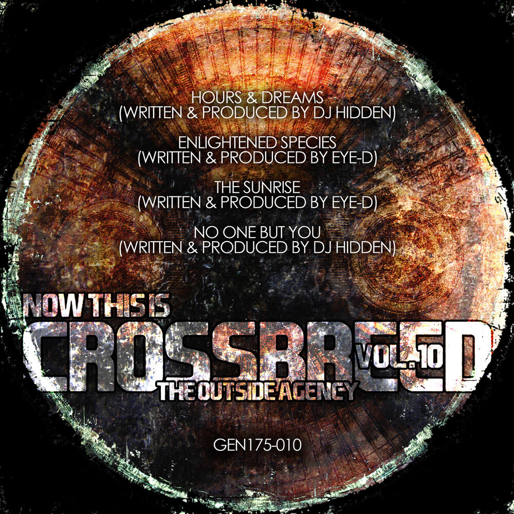 Picture of Now This Is Crossbreed Vol. 10