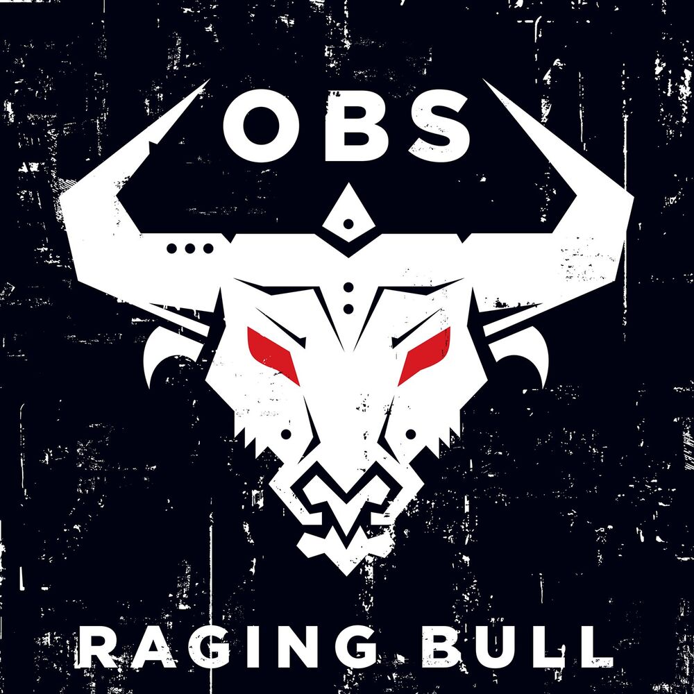 Picture of Raging Bull