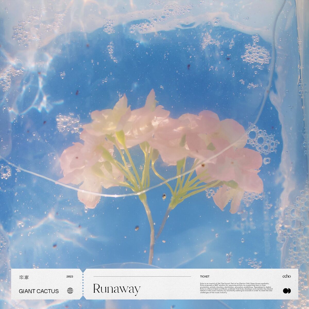 Album cover of runaway