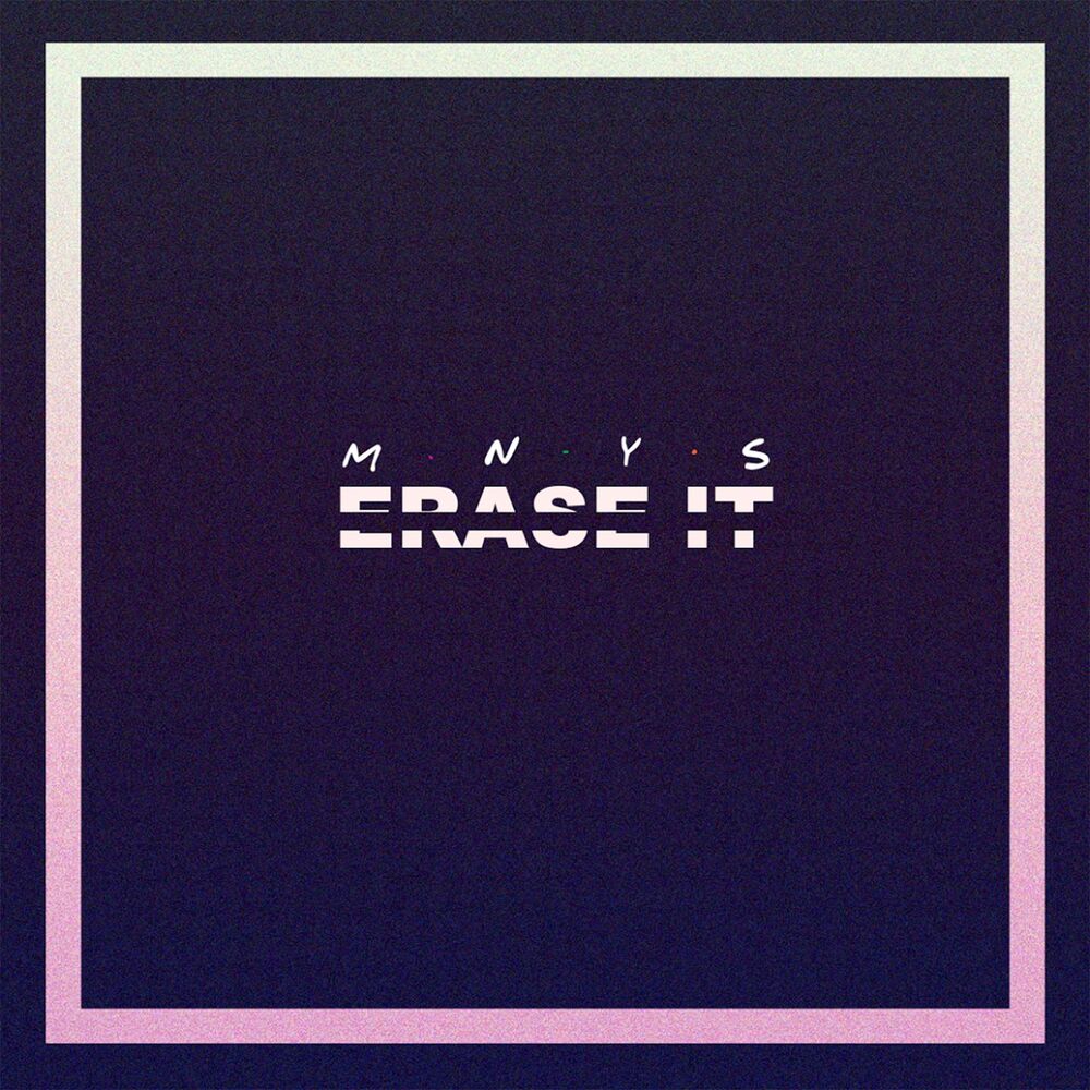 Picture of Erase It
