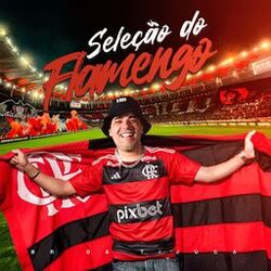Cover of Seleção do Flamengo