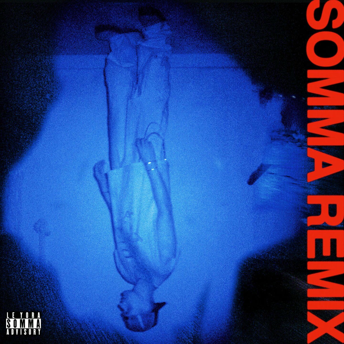 Album cover of Vertebrae (SOMMA Remix)