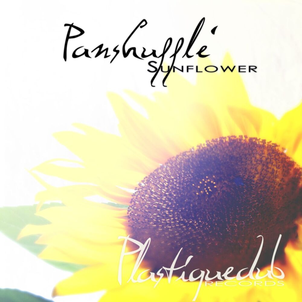 Picture of Sunflower