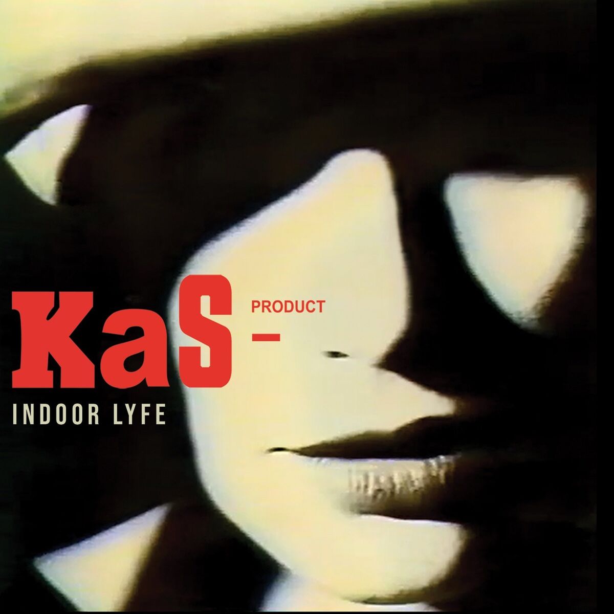 Album cover of INDOOR LYFE