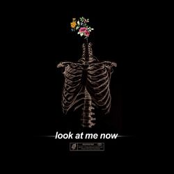 music cover